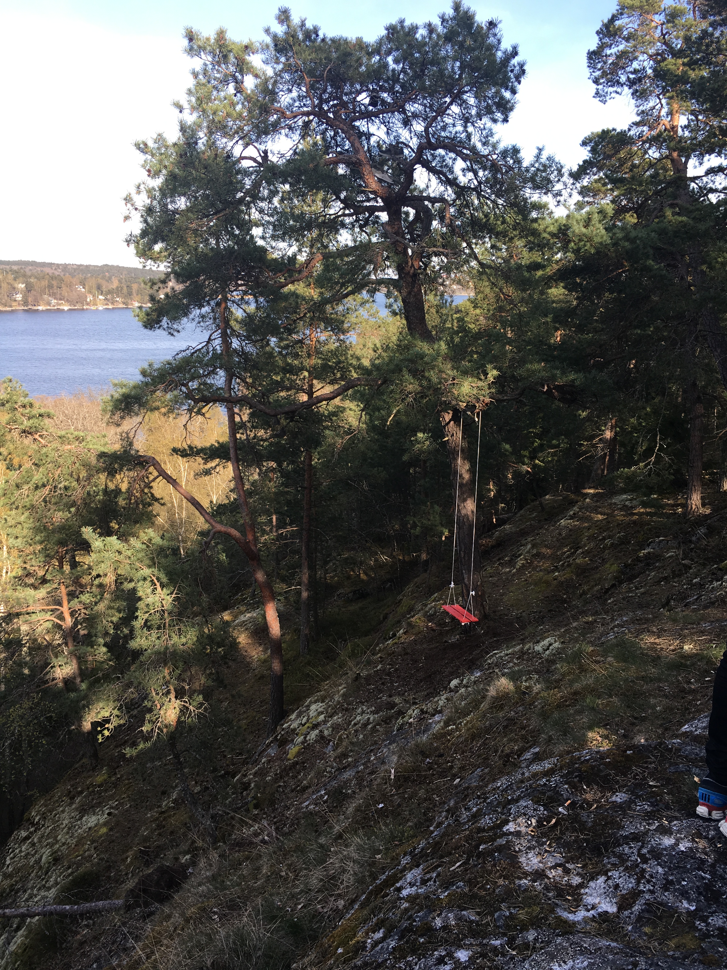 The backyard of Lappis, the place I lived in